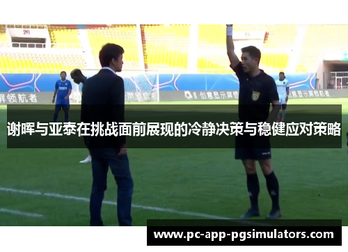 谢晖与亚泰在挑战面前展现的冷静决策与稳健应对策略 谢晖与亚泰在挑战面前展现的冷静决策与稳健应对策略