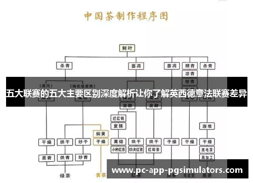 五大联赛的五大主要区别深度解析让你了解英西德意法联赛差异