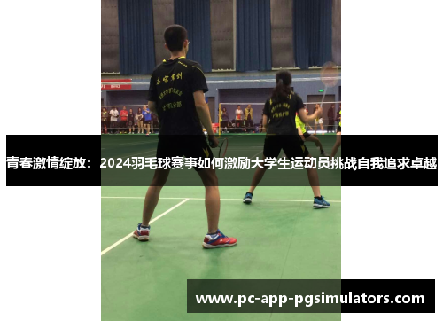 青春激情绽放：2024羽毛球赛事如何激励大学生运动员挑战自我追求卓越