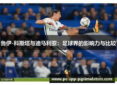 鲁伊-科斯塔与迪马利亚：足球界的影响力与比较