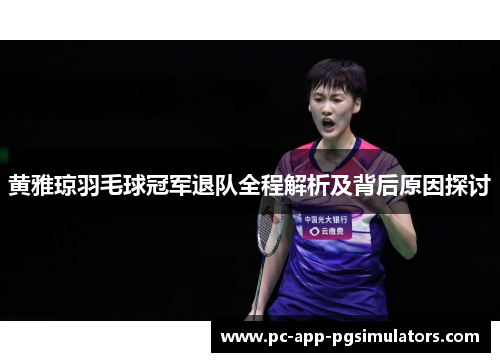 黄雅琼羽毛球冠军退队全程解析及背后原因探讨