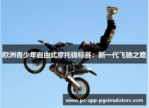 欧洲青少年自由式摩托锦标赛：新一代飞驰之路