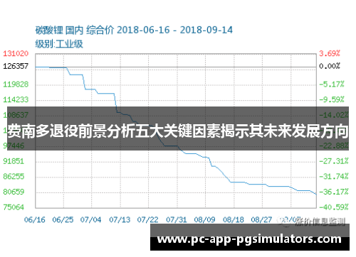 费南多退役前景分析五大关键因素揭示其未来发展方向 费南多退役前景分析五大关键因素揭示其未来发展方向