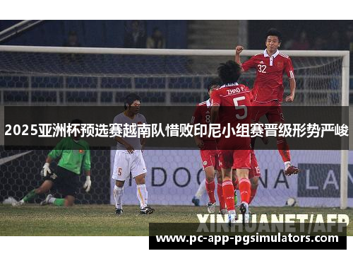 2025亚洲杯预选赛越南队惜败印尼小组赛晋级形势严峻