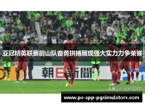 亚冠精英联赛蔚山队奋勇拼搏展现强大实力力争荣誉 亚冠精英联赛蔚山队奋勇拼搏展现强大实力力争荣誉