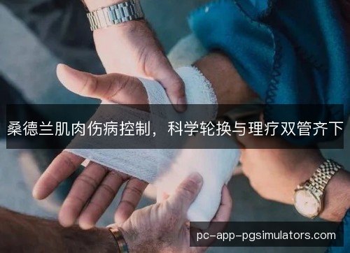 桑德兰肌肉伤病控制，科学轮换与理疗双管齐下